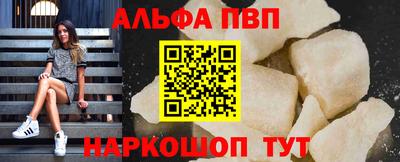 мет Кингисепп