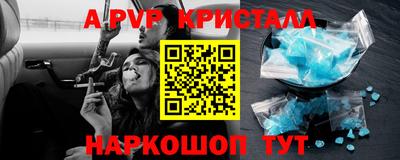 мет Кингисепп