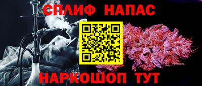 мет Кингисепп