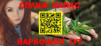 мет Кингисепп
