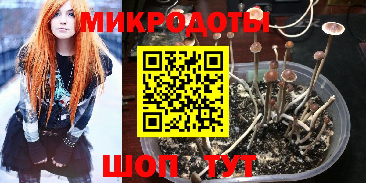 Псилоцибиновые грибы ЛСД Ухта