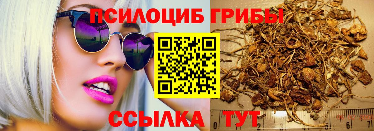 где купить наркоту  Вход с VPN  Ухта  Галлюциногенные грибы мухоморы 